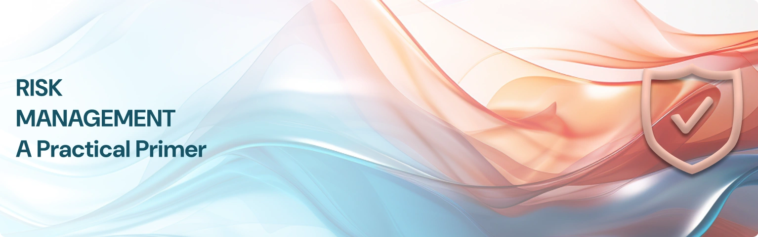 Risk Management: A Practical Primer