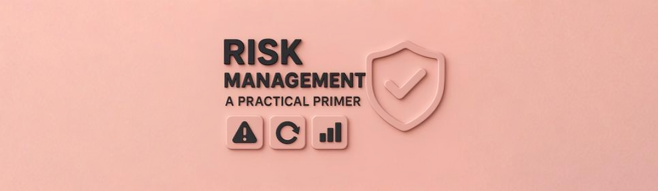Risk Management: A Practical Primer