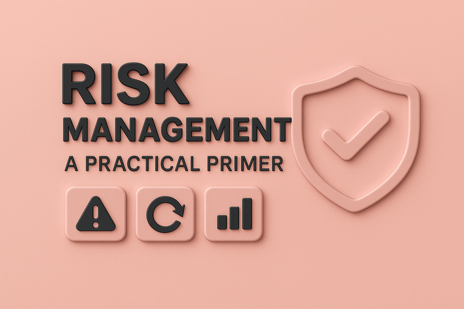 Risk Management: A Practical Primer